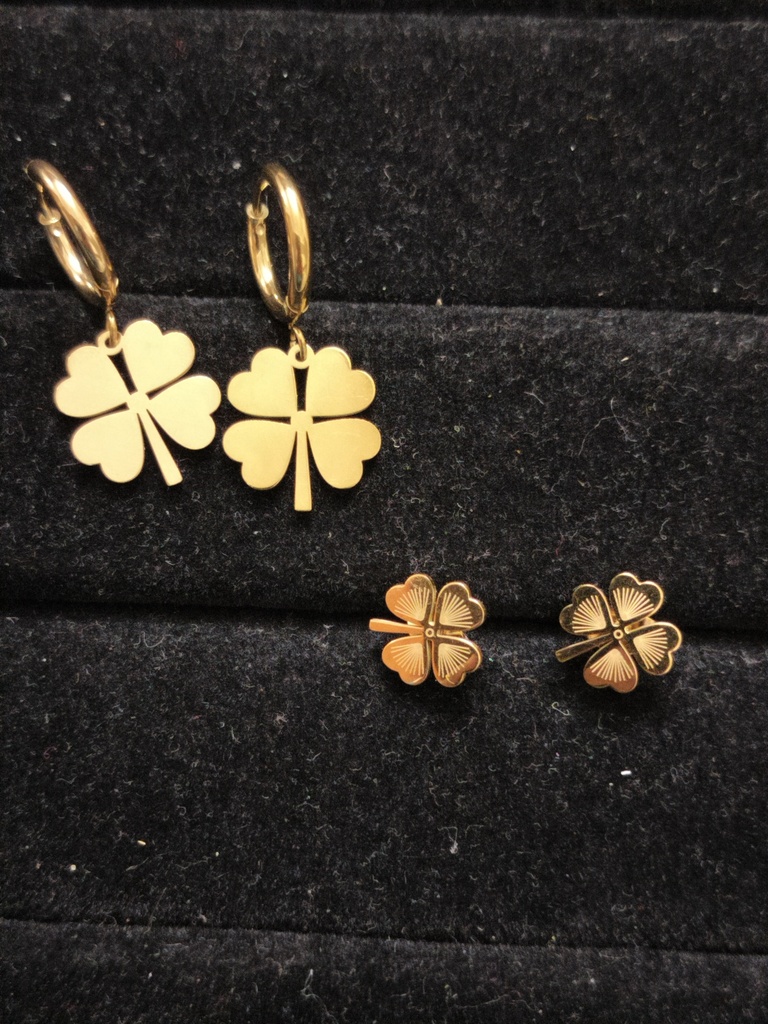 Anti tournish earrings se 20