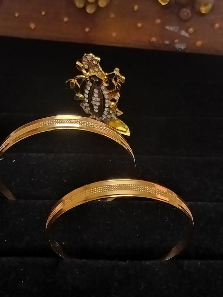 Bangles bracelet ri 11 cno